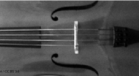 Music Majors Play with Pride: Take Note