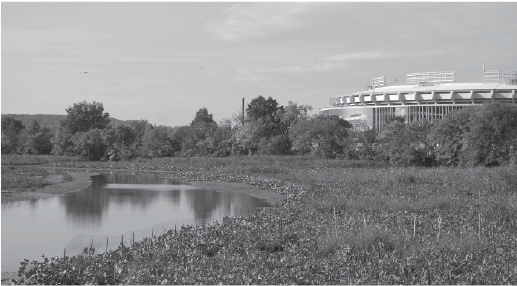 Island of Dreams: Reversing a Century of Neglect on the Anacostia