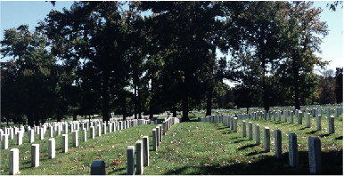 Here Rests in Honored Glory: Arlington Cemetery