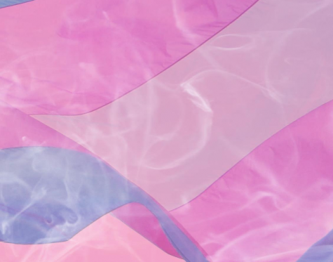 Lonely Streets: Transgender and Homeless in the District