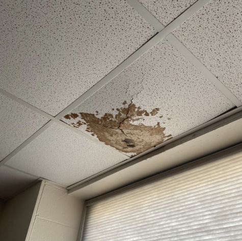 “The university is lying”: students condemn AU’s response to mold complaints