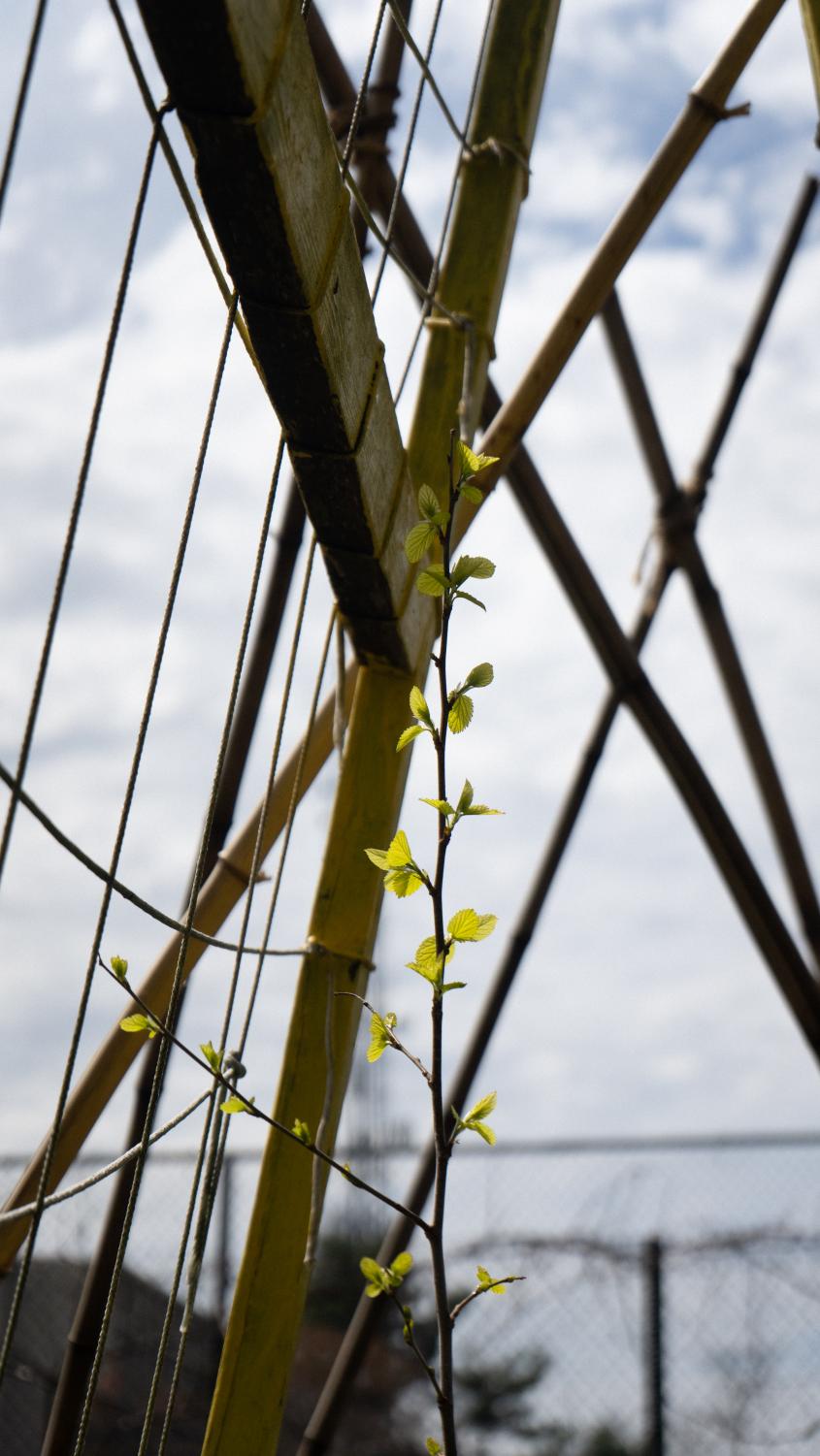 Growing+Community
